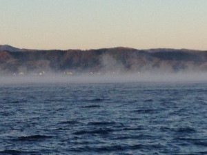 IMG_0275